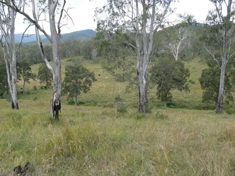 206 Stirlings Road, Mount Byron QLD 4312