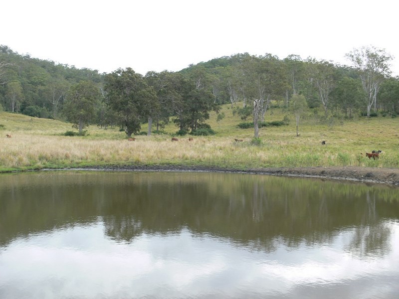 206 Stirlings Road, Mount Byron QLD 4312