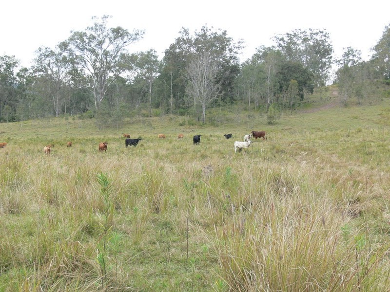 206 Stirlings Road, Mount Byron QLD 4312