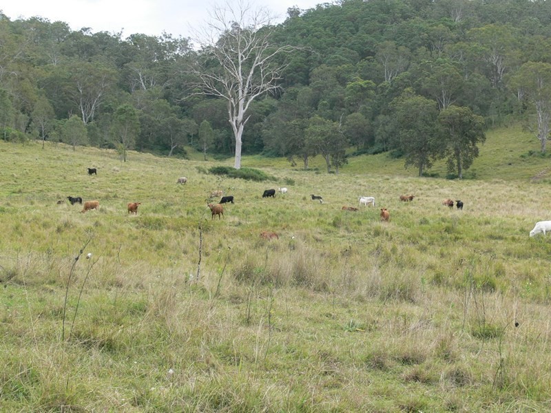 206 Stirlings Road, Mount Byron QLD 4312