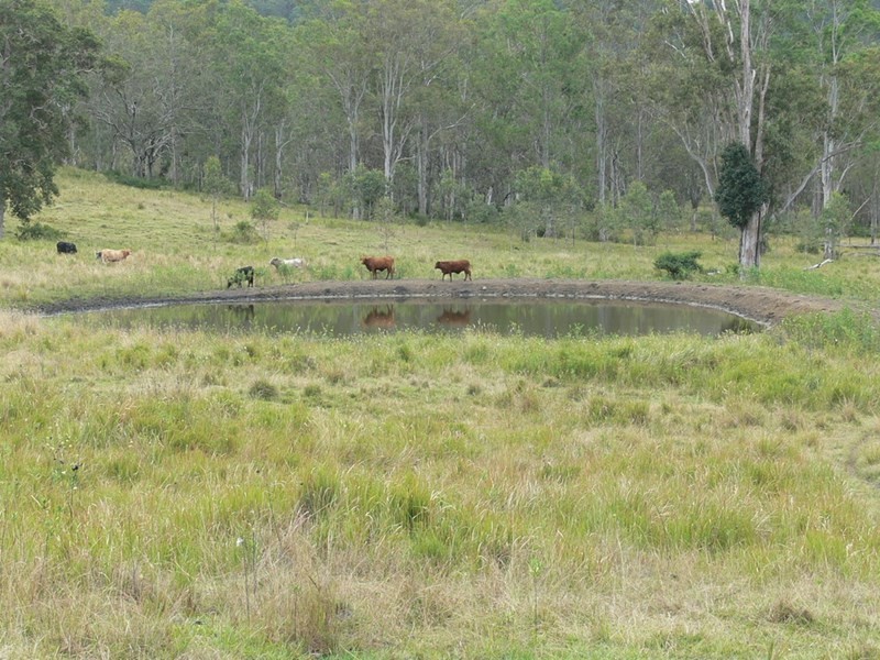 206 Stirlings Road, Mount Byron QLD 4312