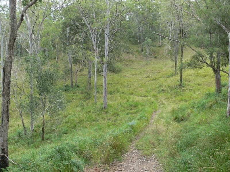 206 Stirlings Road, Mount Byron QLD 4312