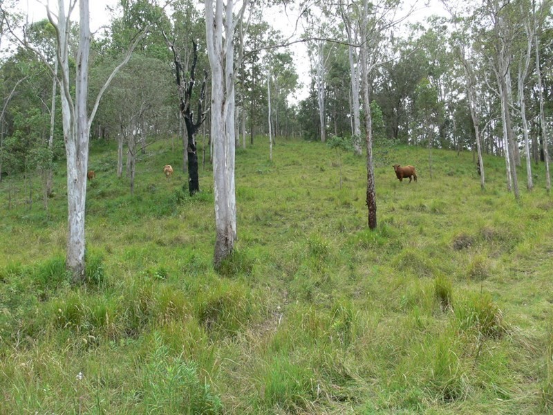 206 Stirlings Road, Mount Byron QLD 4312