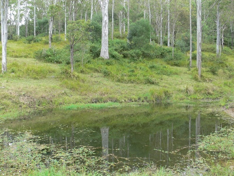 206 Stirlings Road, Mount Byron QLD 4312