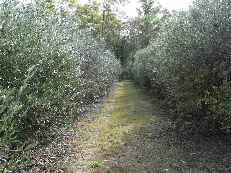 41 Windsor Drive, Esk QLD 4312