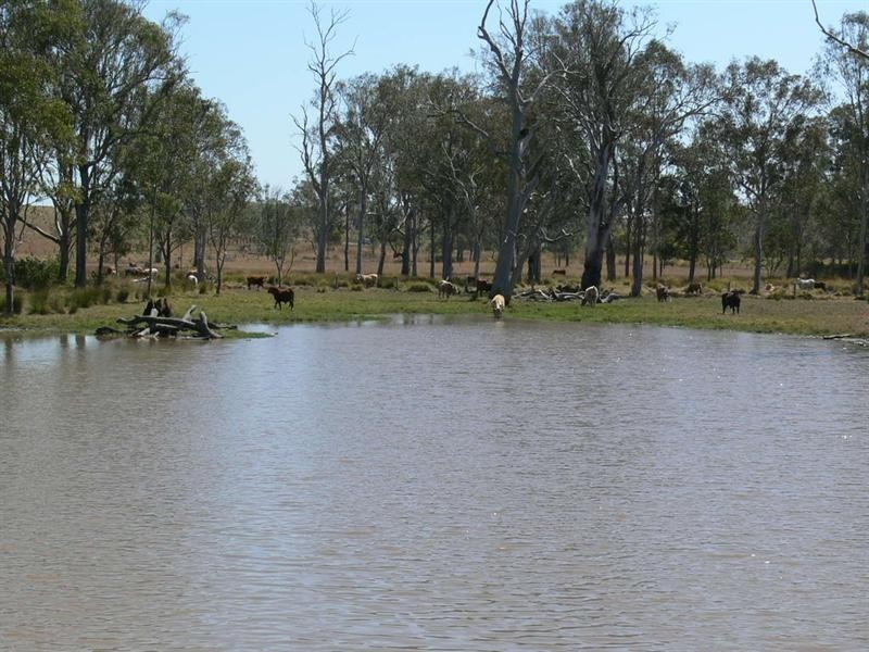 Harlin QLD 4306