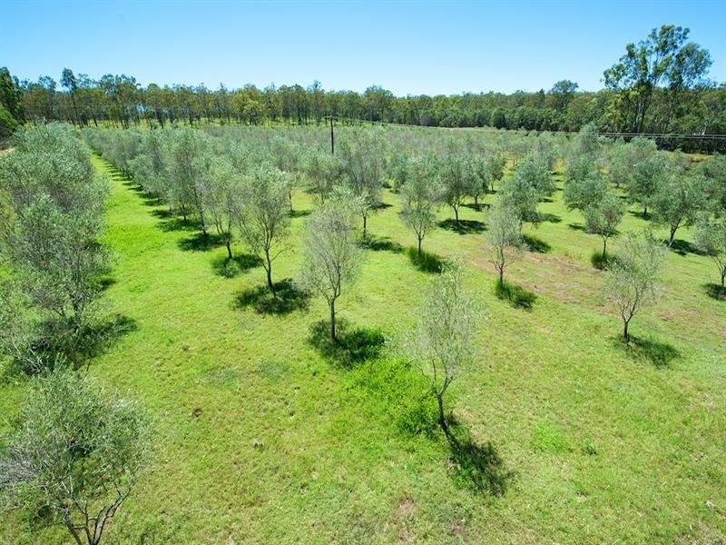 Mount Hallen QLD 4312