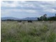 Cressbrook QLD 4313