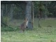 Esk QLD 4312