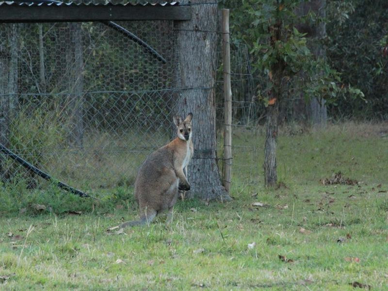 Esk QLD 4312