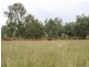 1814-1839 Mount Stanley Road, Linville QLD 4306