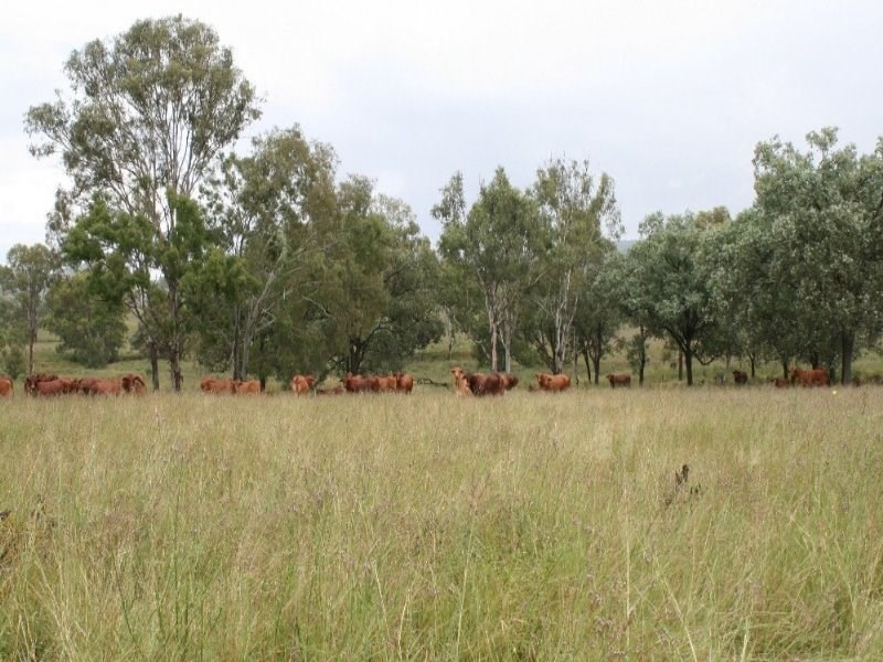 1814-1839 Mount Stanley Road, Linville QLD 4306