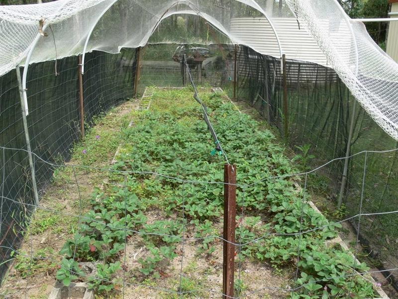 99 O’Grady Road, Esk QLD 4312