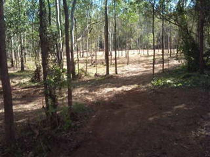 Lot 7 Wattle Street, Esk QLD 4312