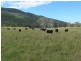 Lot 222 Cooeeimbardi Road, Somerset Dam QLD 4312