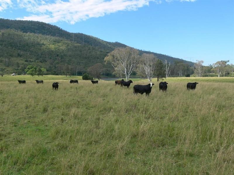Lot 222 Cooeeimbardi Road, Somerset Dam QLD 4312