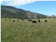 Lot 222 Cooeeimbardi Road, Somerset Dam QLD 4312