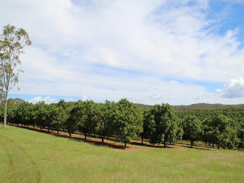 8 Graves Road, Redbank Creek QLD 4312
