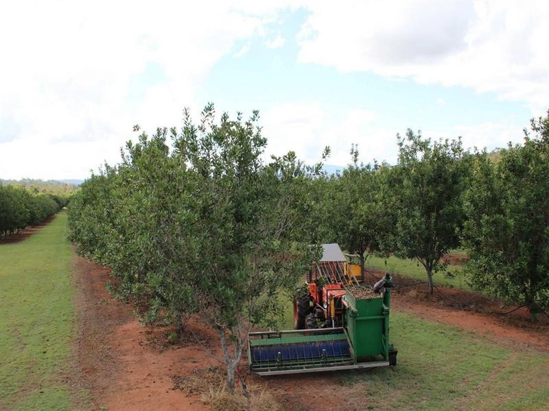 8 Graves Road, Redbank Creek QLD 4312