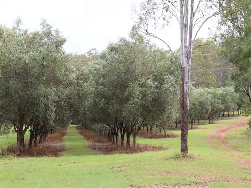 8 Graves Road, Redbank Creek QLD 4312