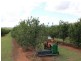 8 Graves Road, Redbank Creek QLD 4312