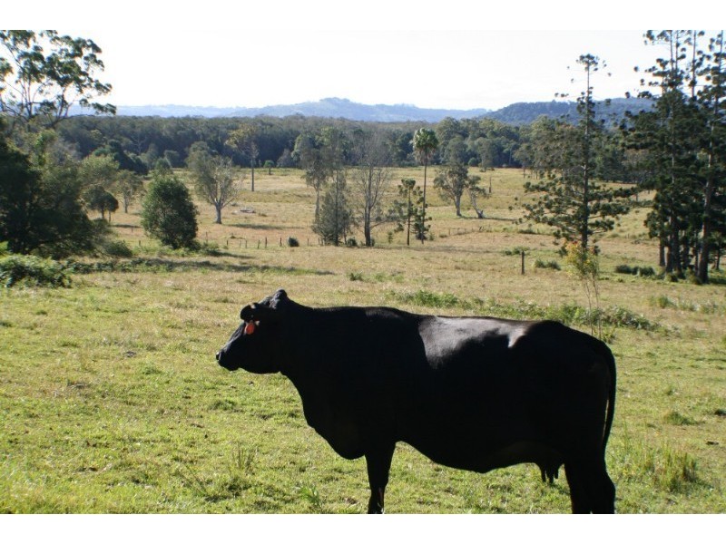 Meerschaum Vale NSW 2477