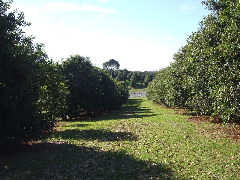 Mcleans Ridges NSW 2480