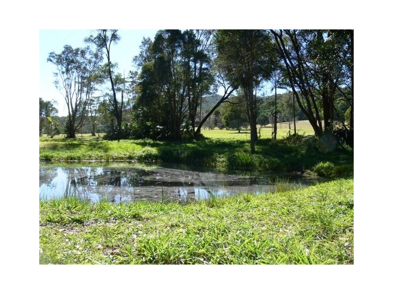 771 Bagotville Road, Meerschaum Vale NSW 2477
