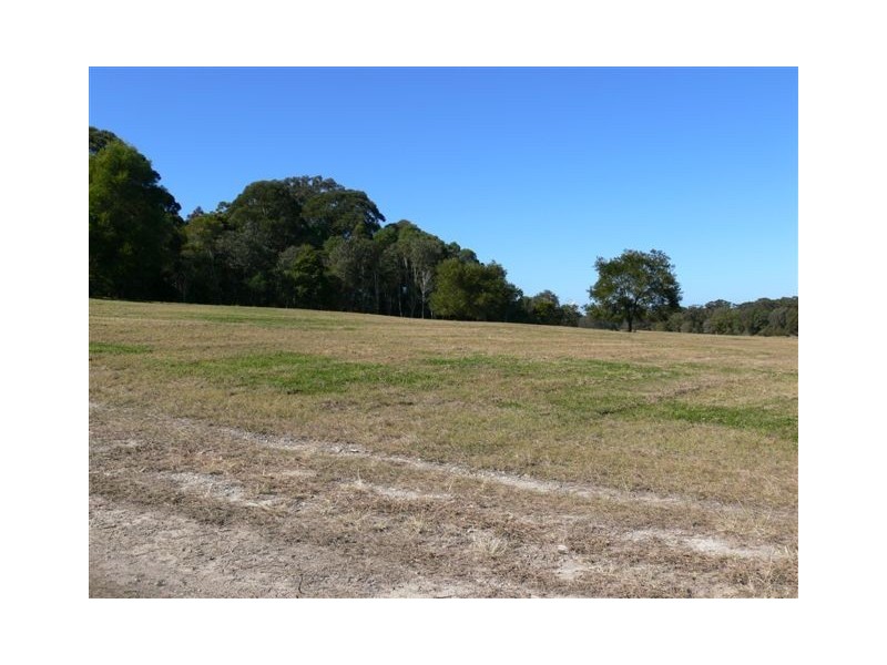 771 Bagotville Road, Meerschaum Vale NSW 2477