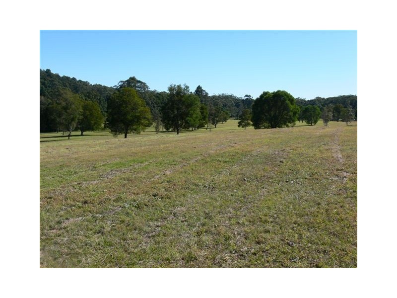771 Bagotville Road, Meerschaum Vale NSW 2477