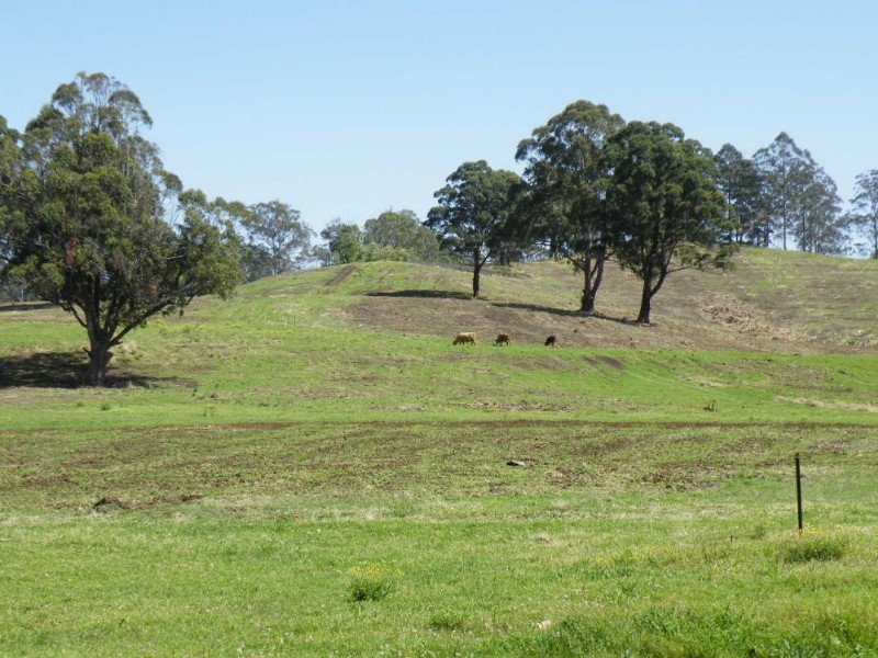 Barkers Vale NSW 2474