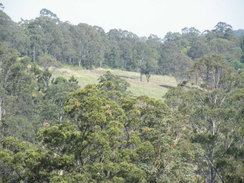 Barkers Vale NSW 2474