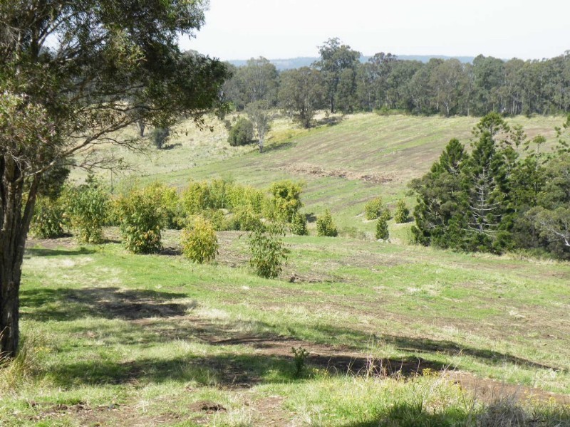 Barkers Vale NSW 2474