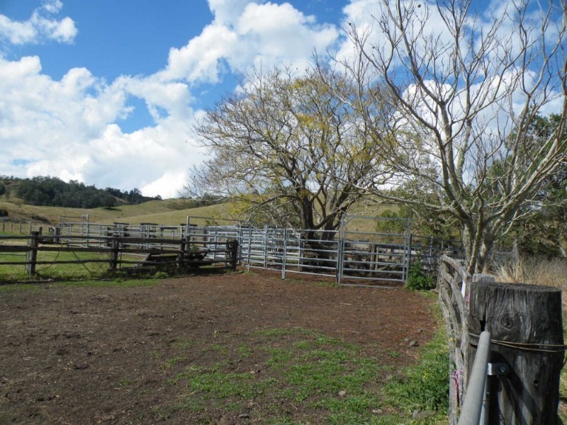 Lot 571 Afterlee Road, Kyogle NSW 2474