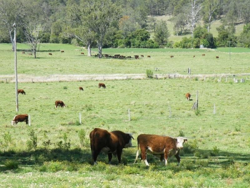 271 Bingeebeebra Creek Road, Casino NSW 2470