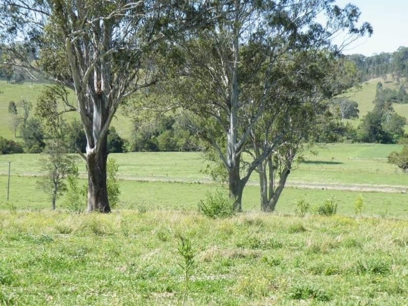 271 Bingeebeebra Creek Road, Casino NSW 2470