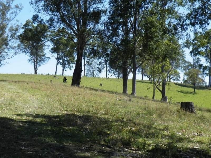 271 Bingeebeebra Creek Road, Casino NSW 2470