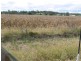 289 Knights Road, Kyogle NSW 2474