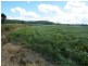 289 Knights Road, Kyogle NSW 2474