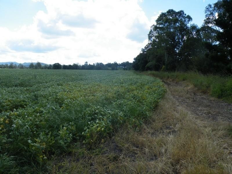 289 Knights Road, Kyogle NSW 2474