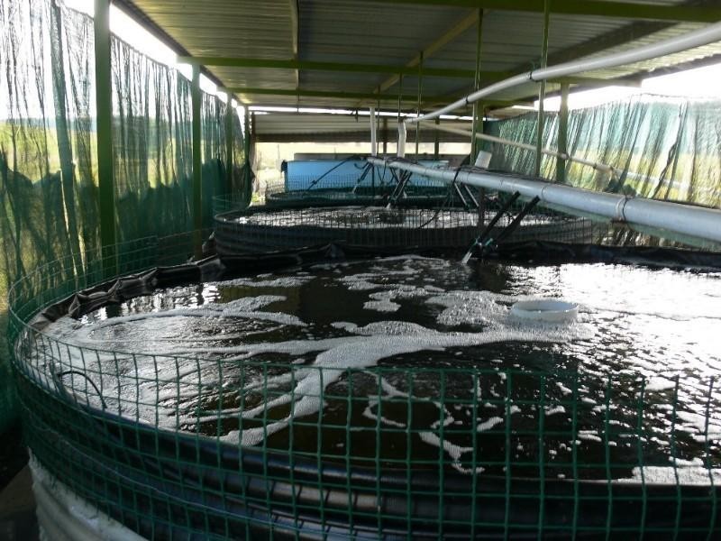 300 Clovas Road, Lismore NSW 2480