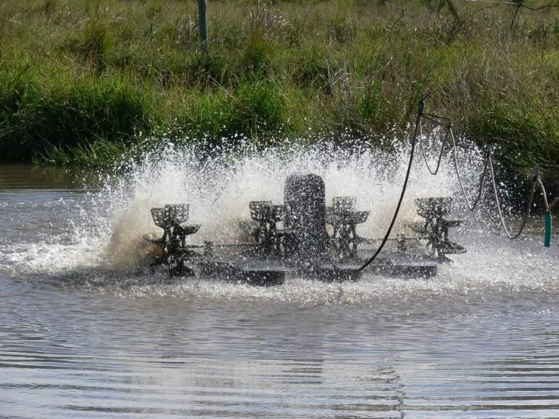 300 Clovas Road, Lismore NSW 2480