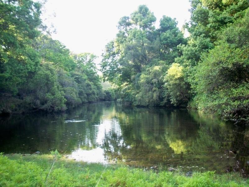 33 Bendall Road, Kyogle NSW 2474