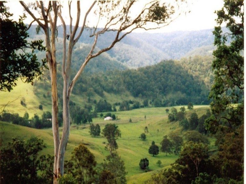 403 Grady’s Creek Road, Kyogle NSW 2474