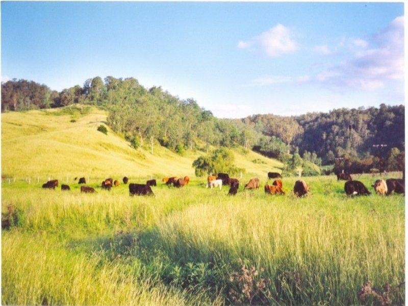 403 Grady’s Creek Road, Kyogle NSW 2474