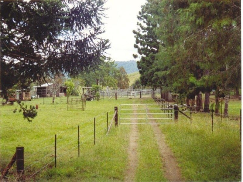 403 Grady’s Creek Road, Kyogle NSW 2474