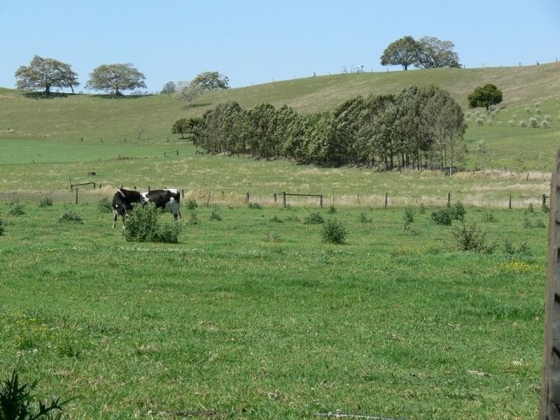 260 Backmede Road, Casino NSW 2470