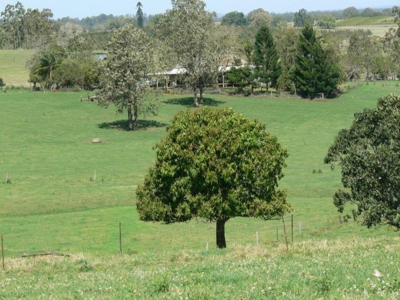 260 Backmede Road, Casino NSW 2470