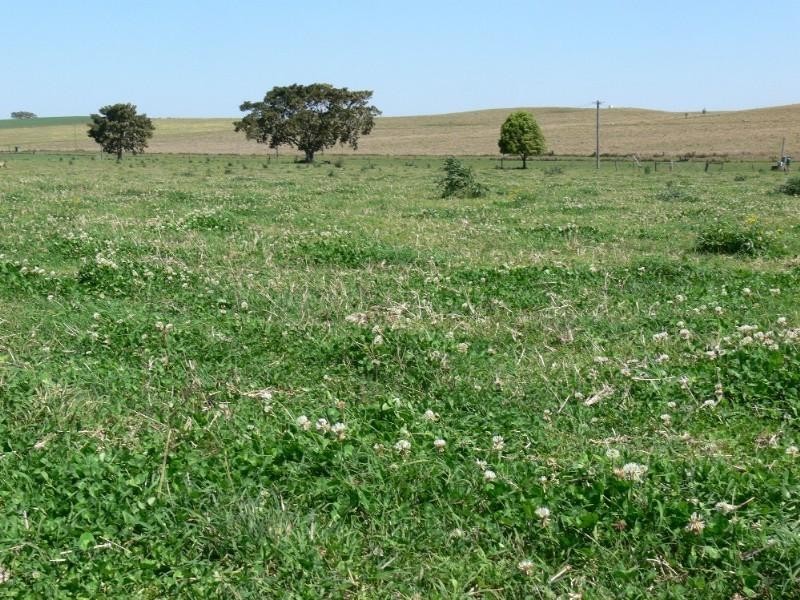 260 Backmede Road, Casino NSW 2470