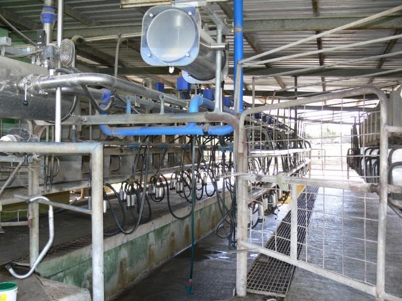 260 Backmede Road, Casino NSW 2470